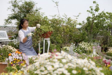 Rooftop Gardens in Urban Spaces Image